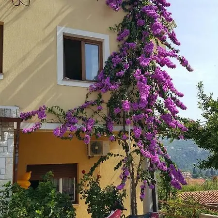Apatmani Milena * Opatija